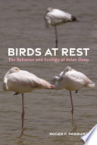 Birds At Rest : The Behavior And Ecology Of Avian Sleep