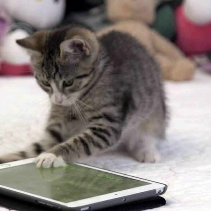 Turning an Interest into a Researchable Question