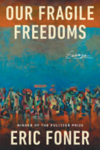 Our Fragile Freedoms : Essays