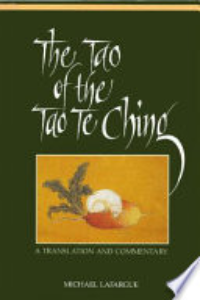 The Tao Of The Tao Te Ching : A Translation And Commentary