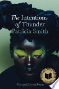 The Intentions Of Thunder : New And Selected Poems