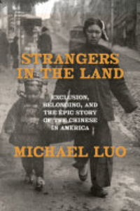 Strangers In The Land : Exclusion, Belonging, And The Epic Story Of The Chinese In America