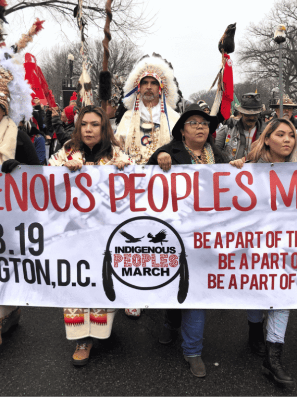The Constitution and Indigenous Americans