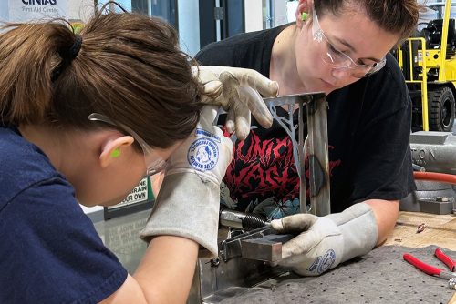 Students working during the internship