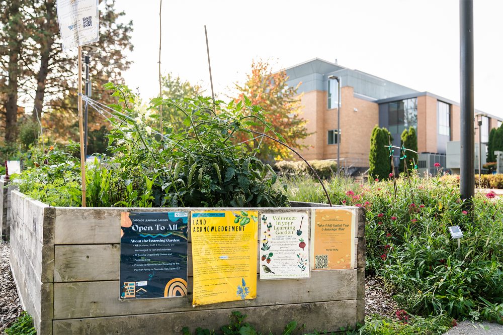 Learning Garden