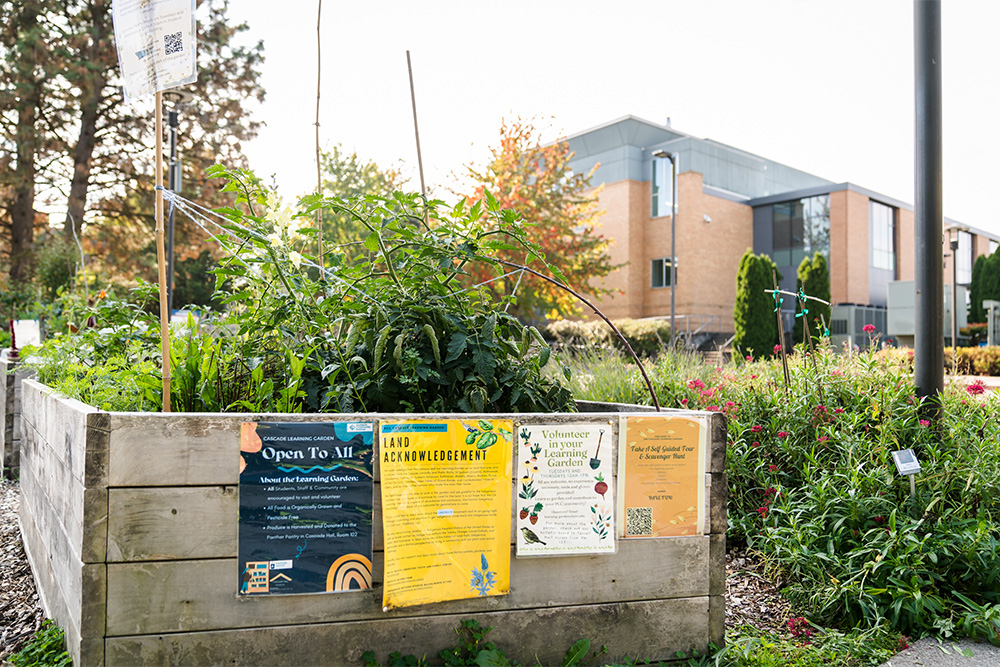Learning Garden