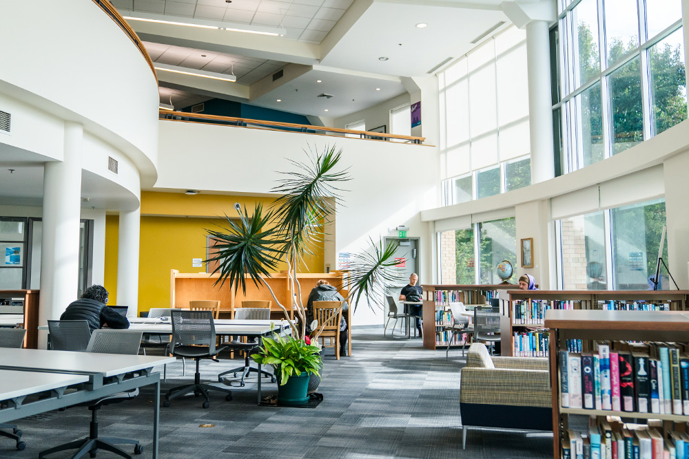 Library study space