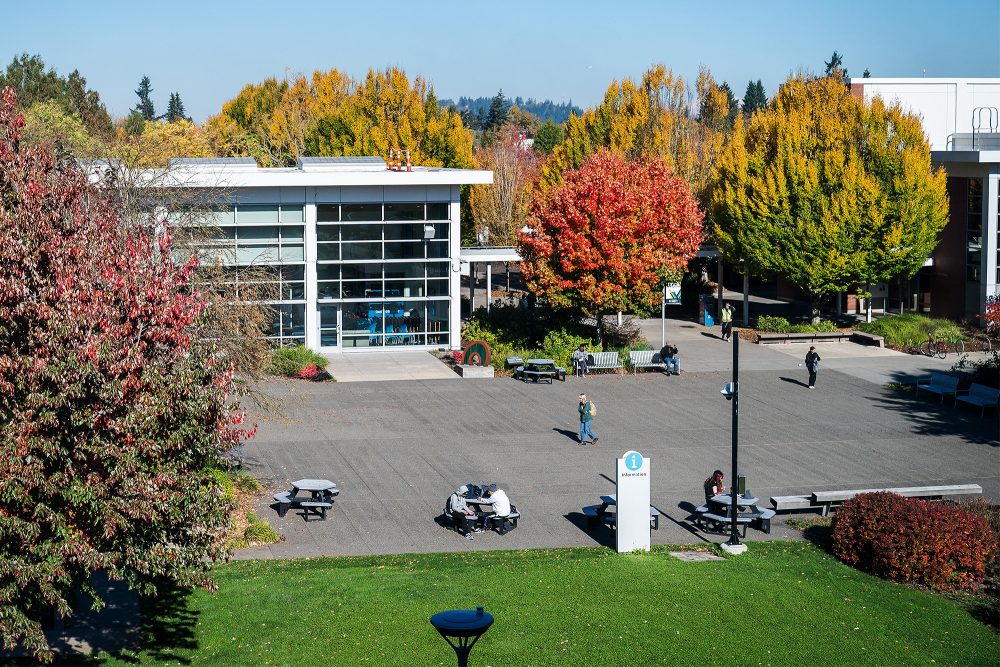 Southeast main plaza from above