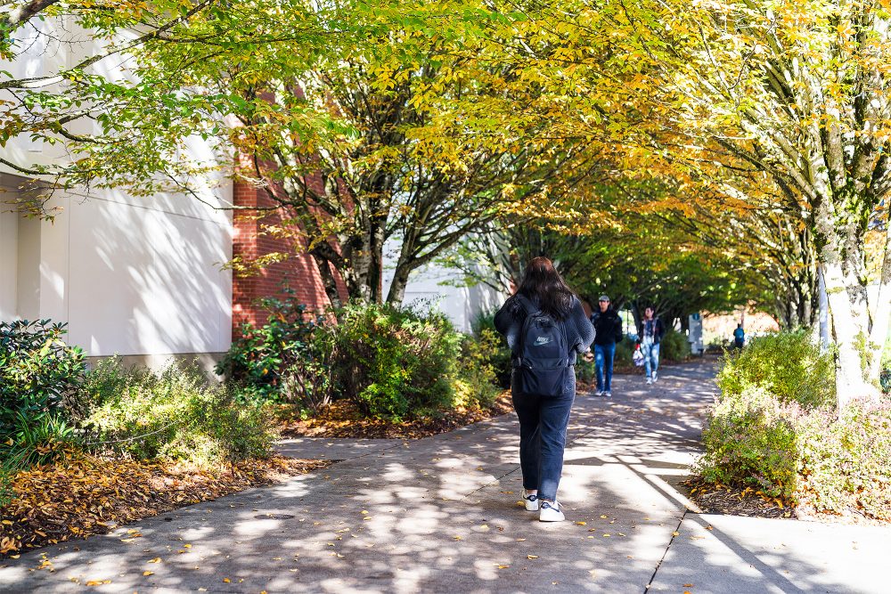 Student walking down a shady, tree-lined walkway on campus