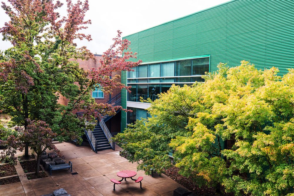 Outdoor seating area next to a green building surrounded by trees