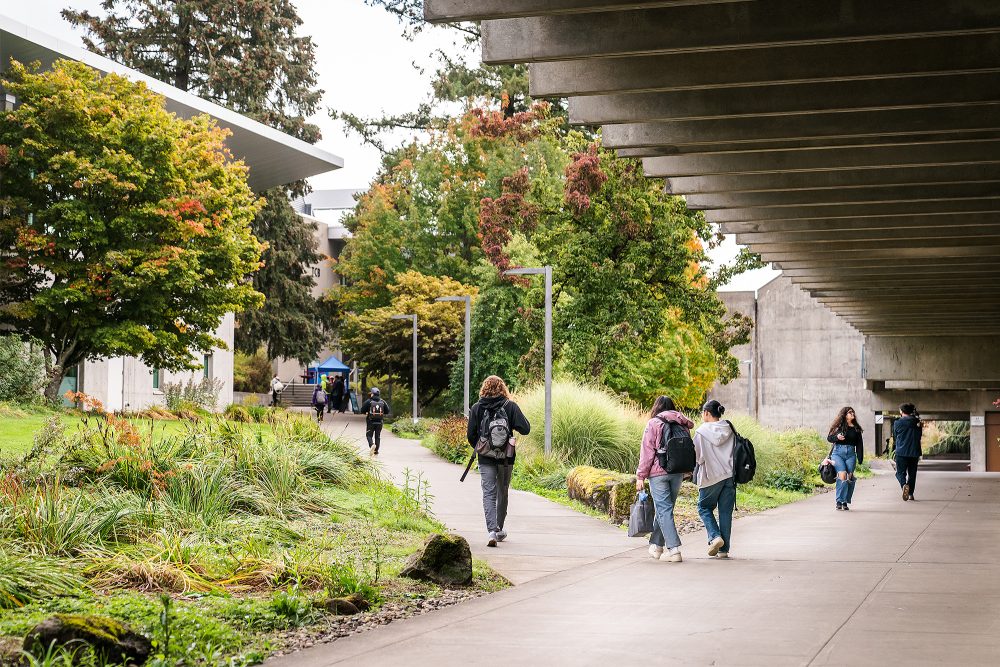 Students walking outside on campus