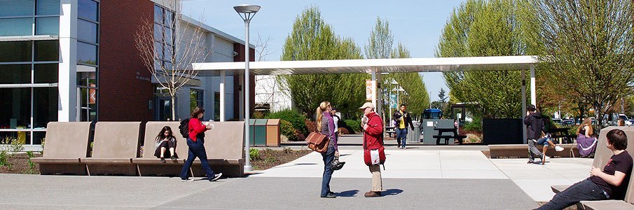 Benches and gardens in campus quad