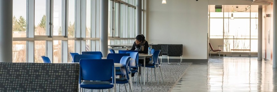 Brightly lit study area