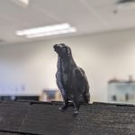 Roof Crow