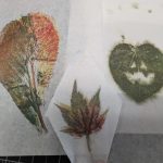 Leaf Pressing