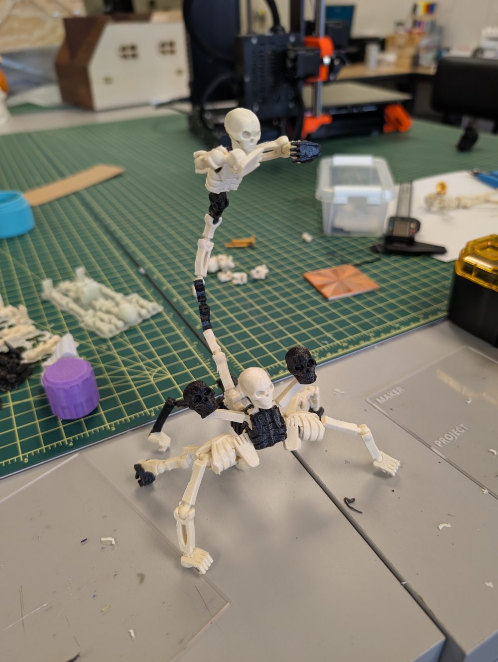 Cronenberg Scorpion Skeleton