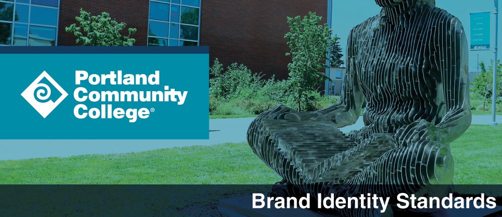 Marketing Department Work Example - Brand Identity Standards