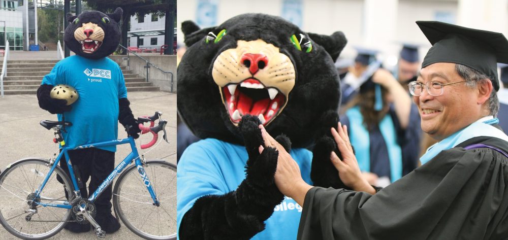 Poppie the Panther Collage of Images