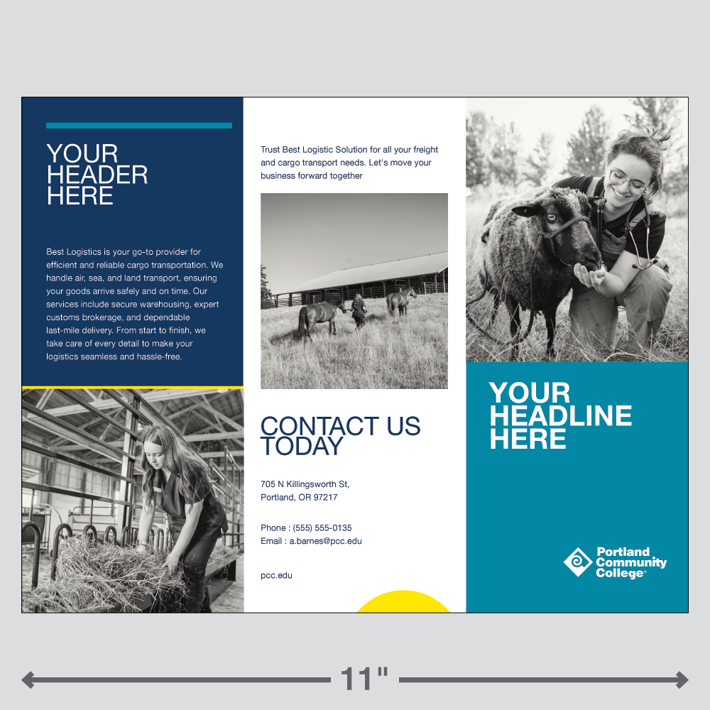 Adobe Express template for a college branded trifold brochure.