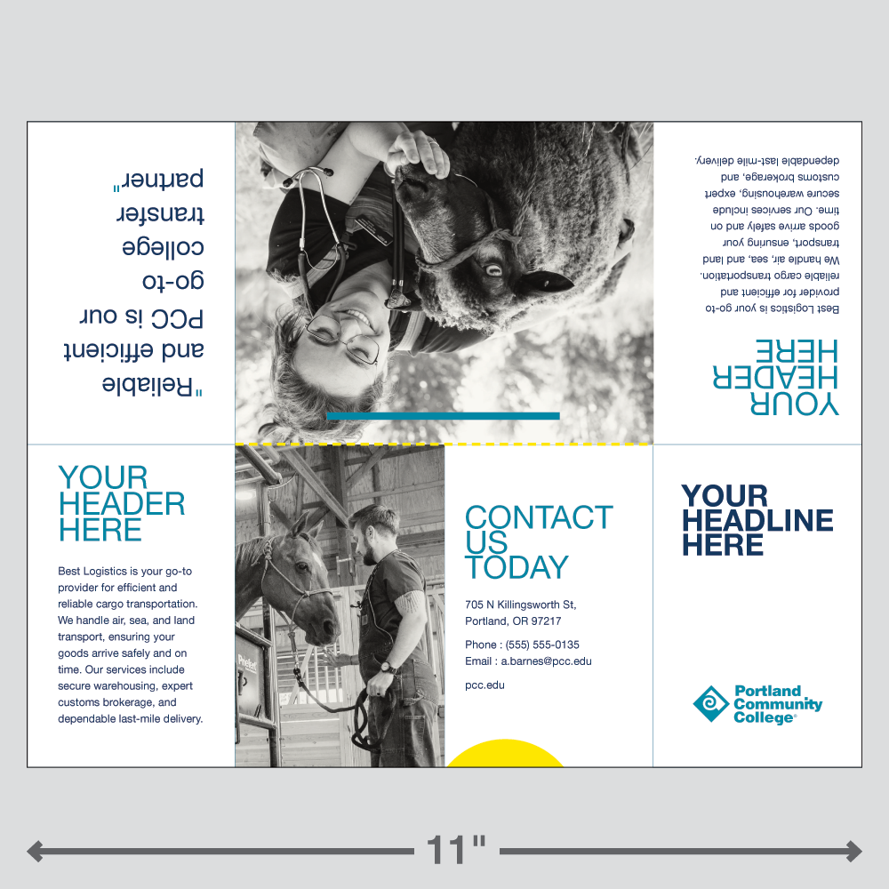 Adobe Express template for a college branded zine booklet - version 1.