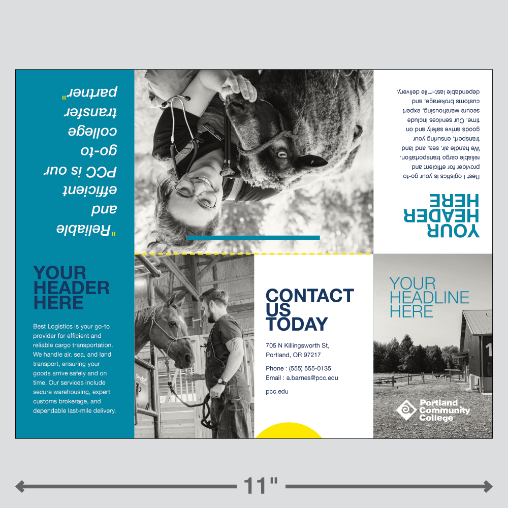 Adobe Express template for a college branded zine booklet - version 2.