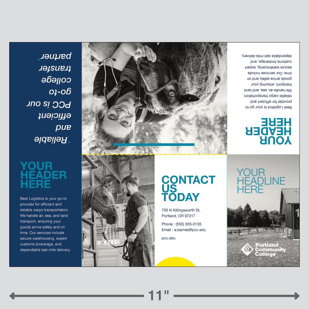 Adobe Express template for a college branded zine booklet - version 3.