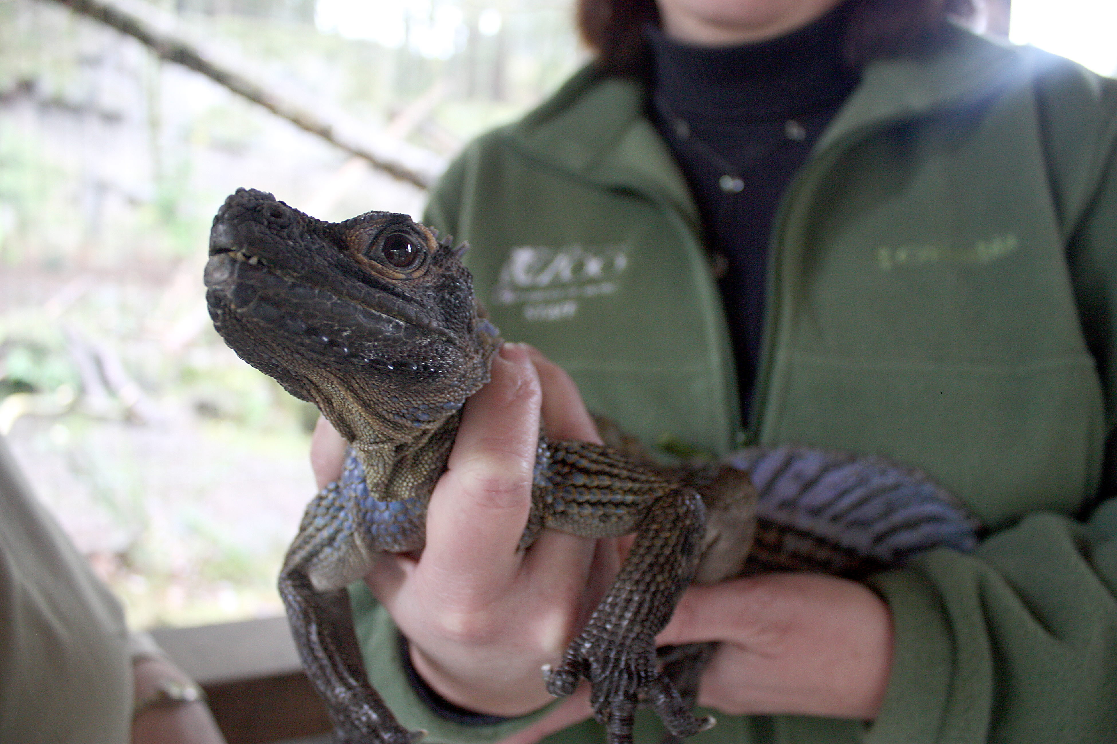 College partners with Oregon Zoo News at PCC