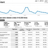 The January 2012 website statistics.