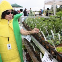 Last year, Rock Creek went bananas for herbs, plants and Earthen oven cookies.