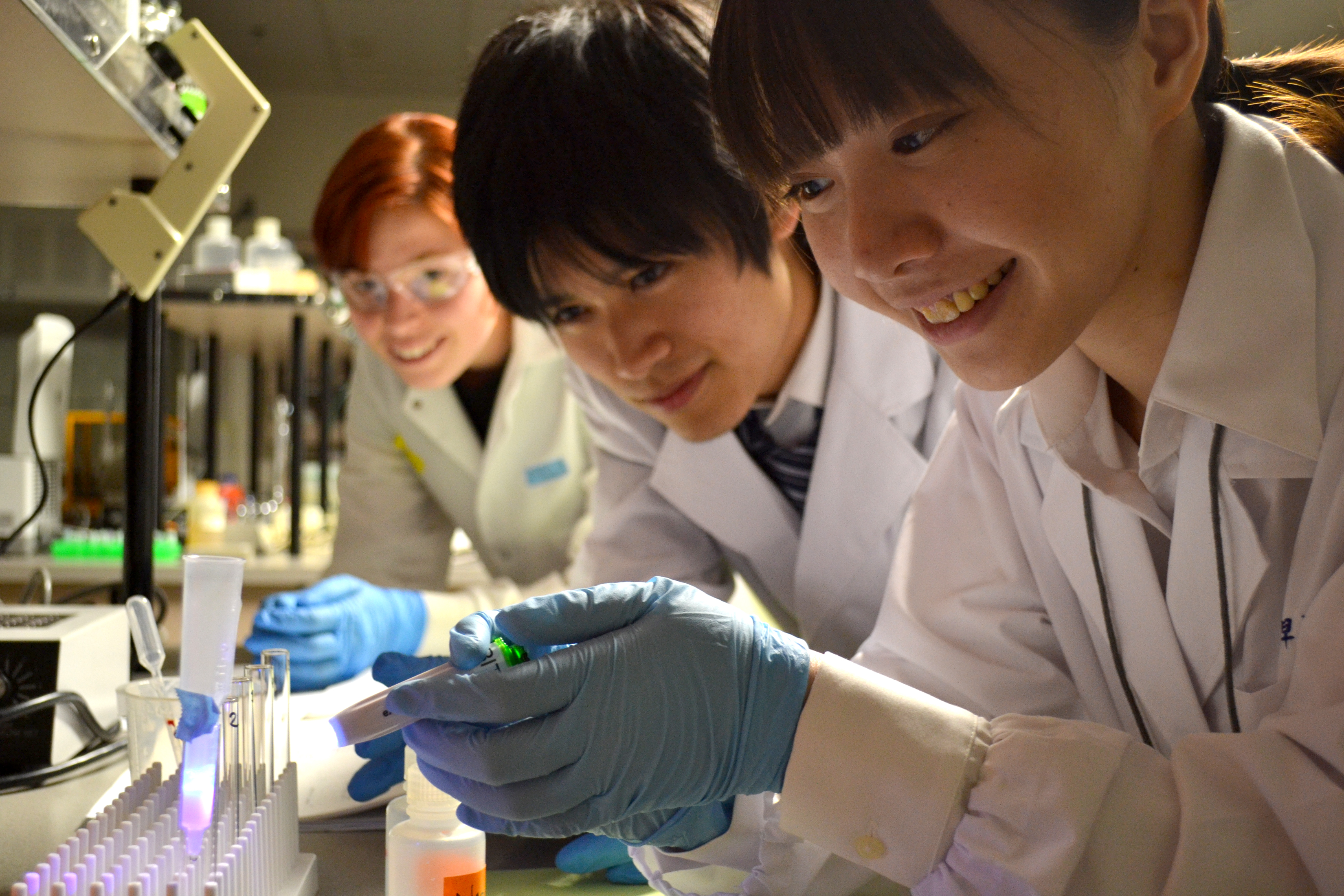 Japanese students tour PCC News at PCC