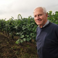 Hal Medici’s roots run deep as his vineyard is one of the oldest in the Willamette Valley.