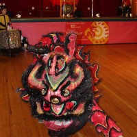 One of many lion dances that entertain the crowd each year at PCC's Asian New Year Celebration.
