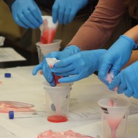 Strawberries get mashed up for a DNA test.