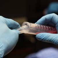 Treating the filtered strawberry juice..