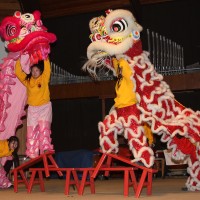 Lion dance.