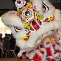 Lion dance.