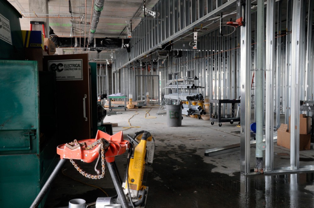 Photo by Bernie Doran