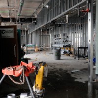 Photo by Bernie Doran