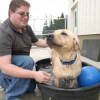 Karma the Dog gets a bath from student Chris Green at PCC's Veterinary Technology Program's kennel, based at the Rock Creek Campus.