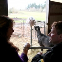 Left to right, Dolores Galindo, Vet Tech instructional support technician, and Brad Krohn, instructor, talk goats at the Rock Creek campus Farm.