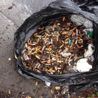 Volunteers picked up bags and bags of cigarette butts during the event.