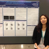 Bridges student Erica Lee Barrios shows off her research poster at the Annual Biomedical Research Conference for Minority Students.