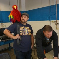 'Creepy Pete,' the electronic parrot, does his creepy thing.