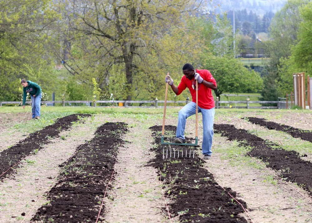 Today, the garden is home to a 65-tree fruit orchard, 32 large raised beds and approximately a half-acre of row crops and areas for grapes, kiwis, blueberries, and cane fruits.