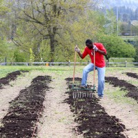 Today, the garden is home to a 65-tree fruit orchard, 32 large raised beds and approximately a half-acre of row crops and areas for grapes, kiwis, blueberries, and cane fruits.
