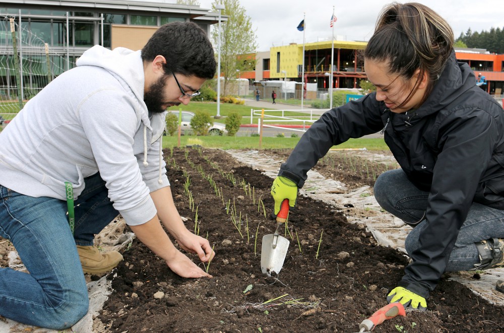 Besides developing the garden and increasing production, the Sustainability Office has brought in programs and divisions to provide community-based learning opportunities and created on-site classroom collaborations.