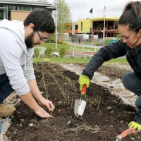 Besides developing the garden and increasing production, the Sustainability Office has brought in programs and divisions to provide community-based learning opportunities and created on-site classroom collaborations.