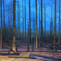 David Carmack Lewis's 'Burn,' depicting the Cascade Creek Fire in Mt. Adams, Wash.), 2013, oil on canvas.
