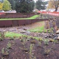 The detention pond, with its layers of plants, filters pollutants from the water, slows the water flow and reduces erosion.