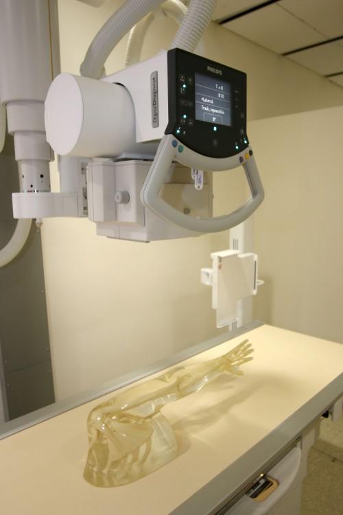 medicalimaging7 News at PCC